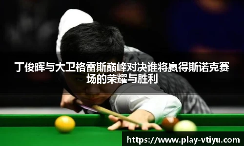 V体育官方app