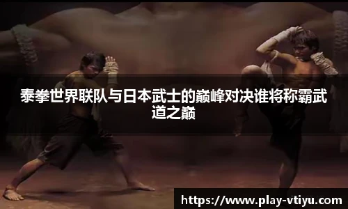 V体育官网